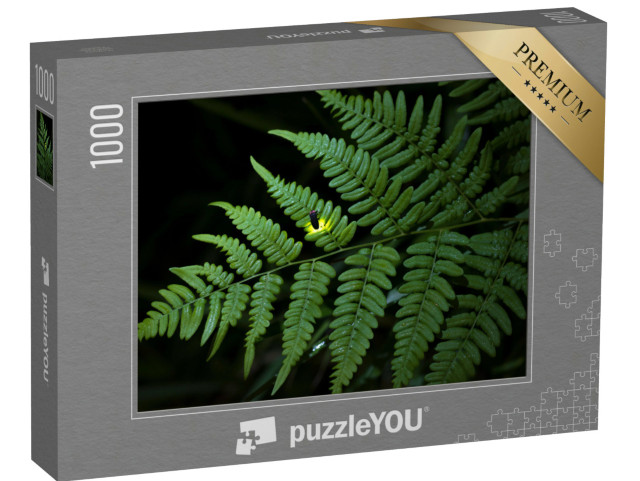 puzzle 1000 dílků „Světlušky jsou letní dominantou Japonska.“