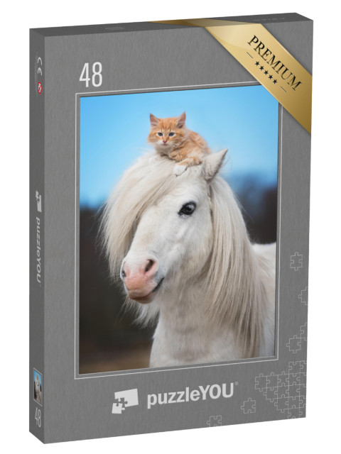 puzzle 48 dílků „Malé červené kotě na hlavě bílého shetlandského poníka“