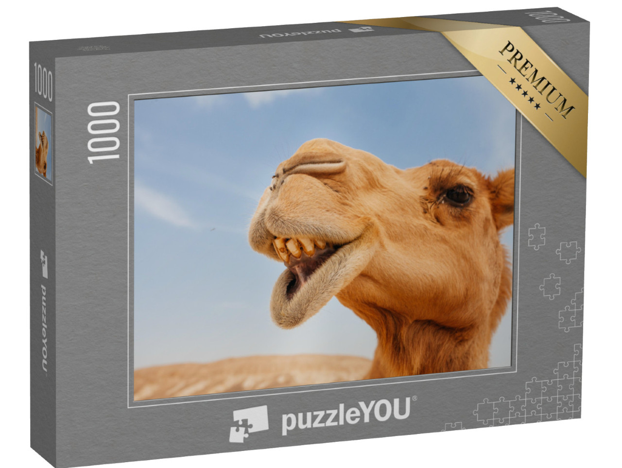 puzzle 1000 dílků „Vtipný detailní záběr velblouda“