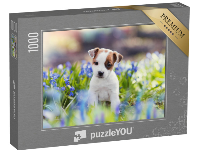 puzzle 1000 dílků „Bílé štěně Jack Russell teriéra v létě“