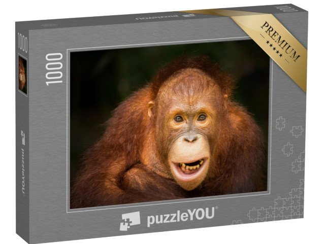 puzzle 1000 dílků „Orangutan“