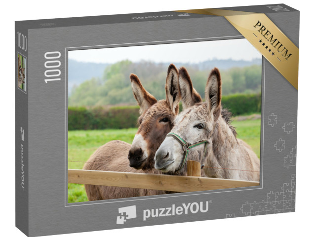 puzzle 1000 dílků „Oslí rodinka venku na louce“