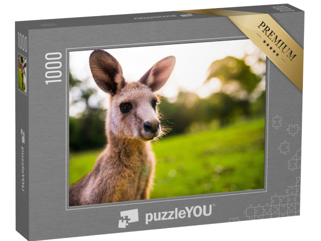 puzzle 1000 dílků „Mladý klokan na východním pobřeží Austrálie“