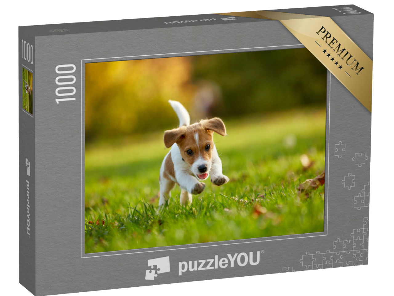 puzzle 1000 dílků „Jack Russell teriér si hraje v podzimním parku“