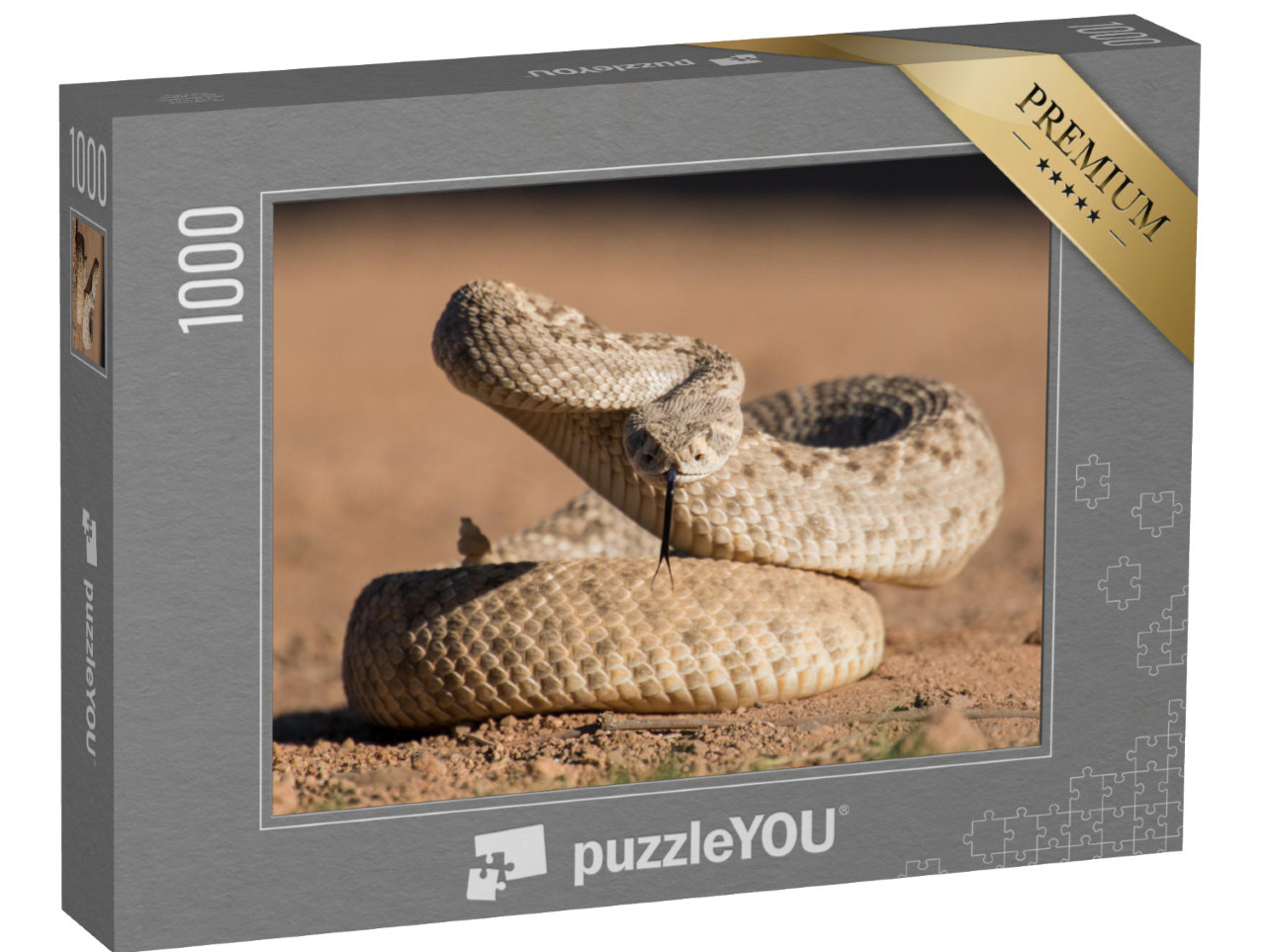 puzzle 1000 dílků „Mladý chřestýš diamantový“