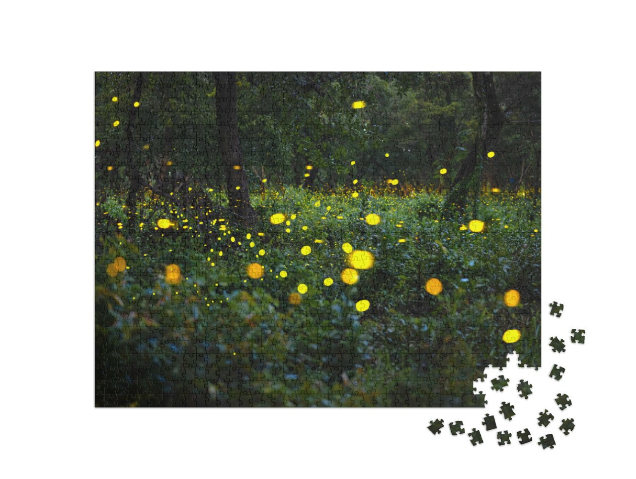 puzzle 1000 dílků „Abstrakt Mnoho světlušek létajících v lese. Jedle“