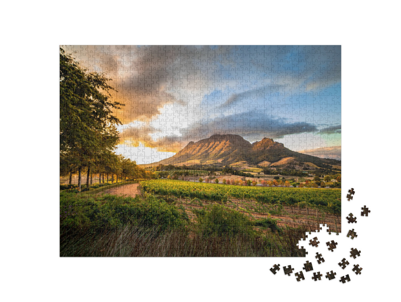 puzzle 1000 dílků „Vinařská oblast Stellenbosch s výhledem na Simonsberg, Jižní Afrika“