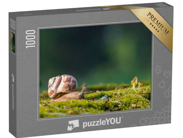 puzzle 1000 dílků „Burgundský hlemýžď, známý také jako římský hlemýžď nebo viniční hlemýžď“