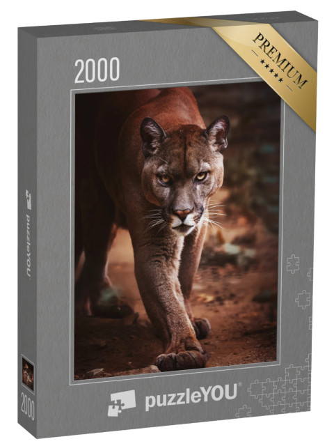 puzzle 2000 dílků „Puma se k vám připlíží“