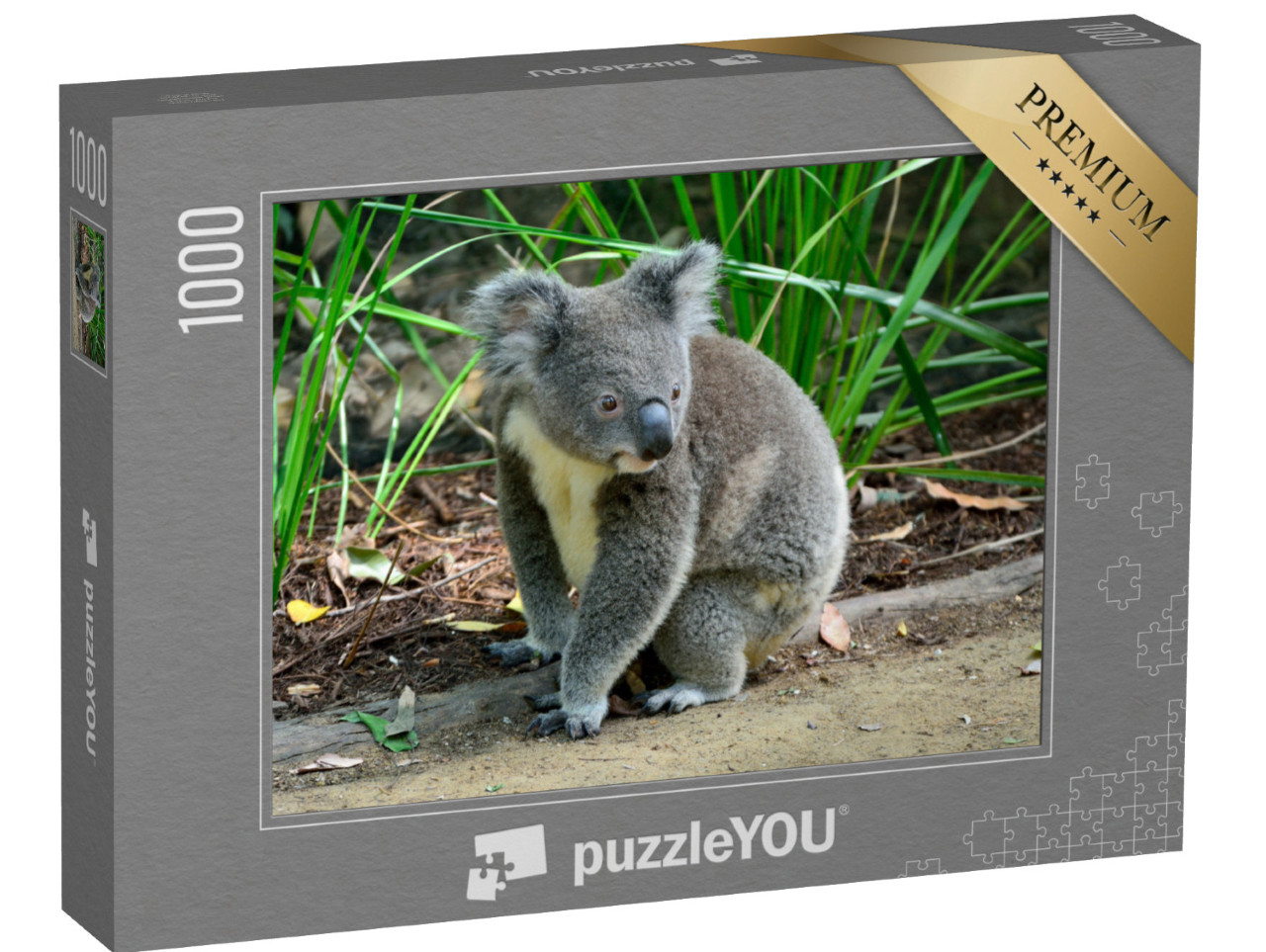 puzzle 1000 dílků „Zvědavá koala sedící na zemi“