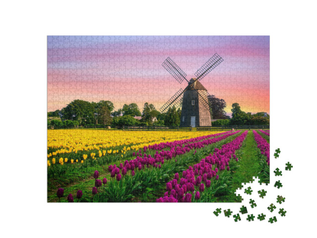 puzzle 1000 dílků „Větrný mlýn v poli tulipánů s květinami“