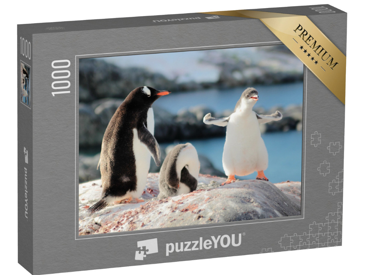 puzzle 1000 dílků „Kdo je nejsilnější tučňák?“