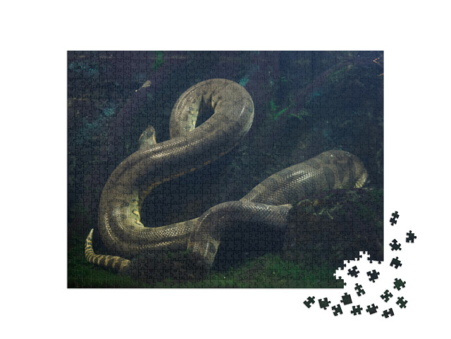 puzzle 1000 dílků „Anakonda zelená, Eunectes murinus“