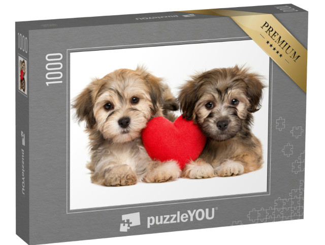 puzzle 1000 dílků „Štěňata havanského psíka“