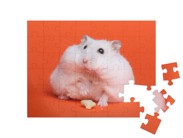 puzzle 48 dílků „Chlupatý bílý křeček“
