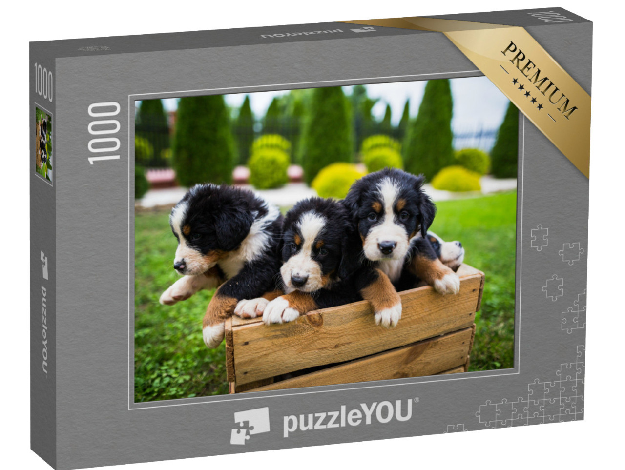 puzzle 1000 dílků „Mladý bernský salašnický pes“