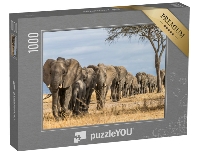 puzzle 1000 dílků „Stádo slonů v Africe, Národní park Tarangire, Tanzanie“
