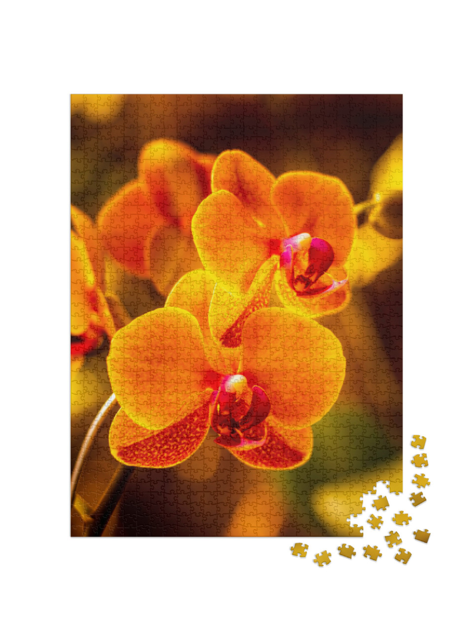 puzzle 1000 dílků „Zářivě oranžový květ orchideje“