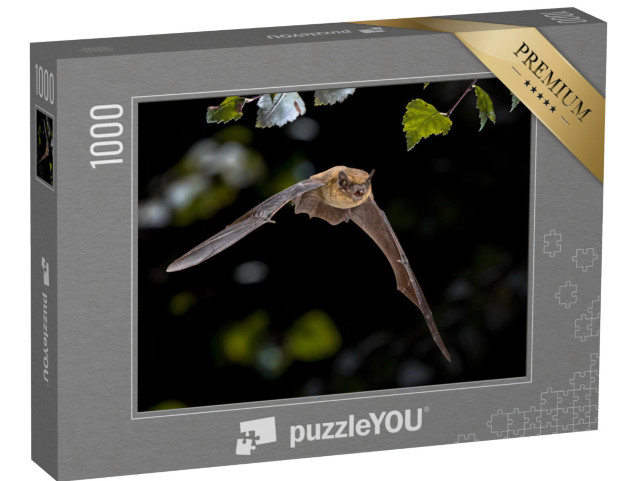 puzzle 1000 dílků „Netopýr Pipistrelle v letu“