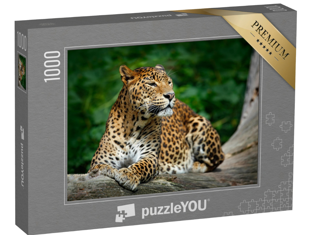 puzzle 1000 dílků „Leopard v národním parku Yala, Srí Lanka“