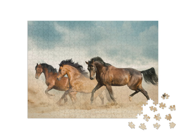 puzzle 500 dílků „Hnědí koně se potulují pouští“
