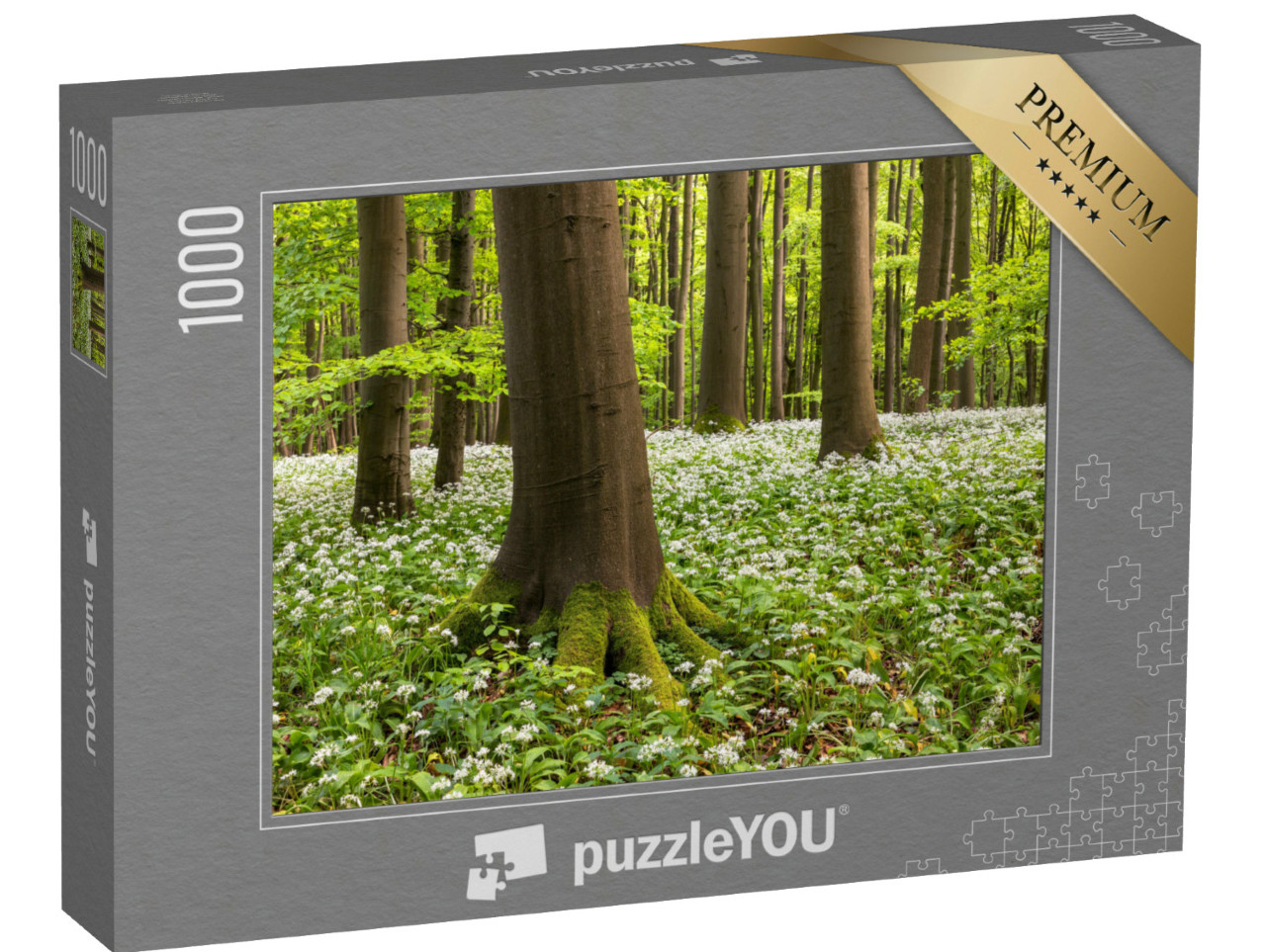 puzzle 1000 dílků „Květ divokého česneku v Národním parku Hainich, Durynsko“
