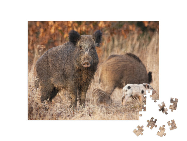 puzzle 200 dílků „Divoké prase chránící svá mláďata“
