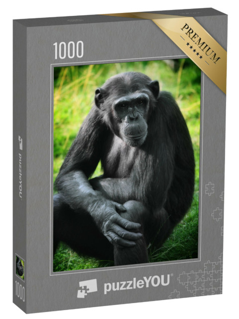puzzle 1000 dílků „Šimpanzi“