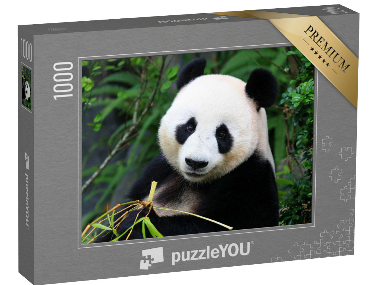 puzzle 1000 dílků „Medvěd panda si pochutnává na bambusových výhoncích“