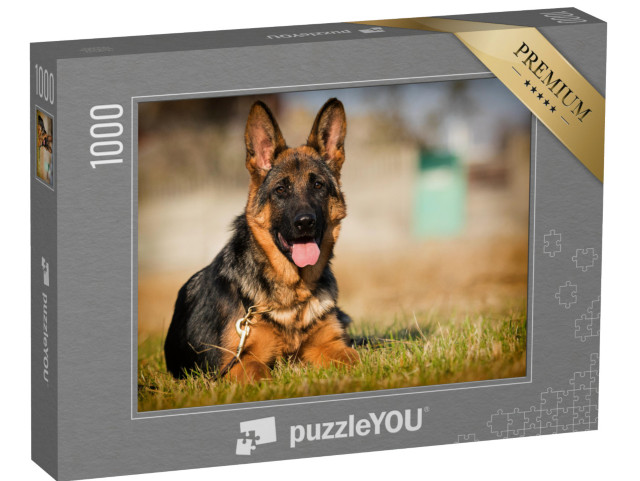 puzzle 1000 dílků „Štěně německého ovčáka ležící v trávě“