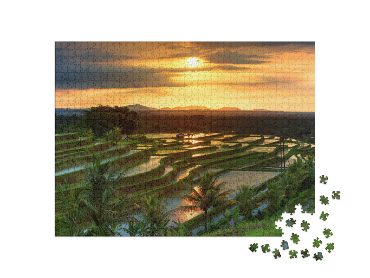 puzzle 1000 dílků „Rýžové terasy Jatiluwih na Bali při východu slunce, Indonésie“