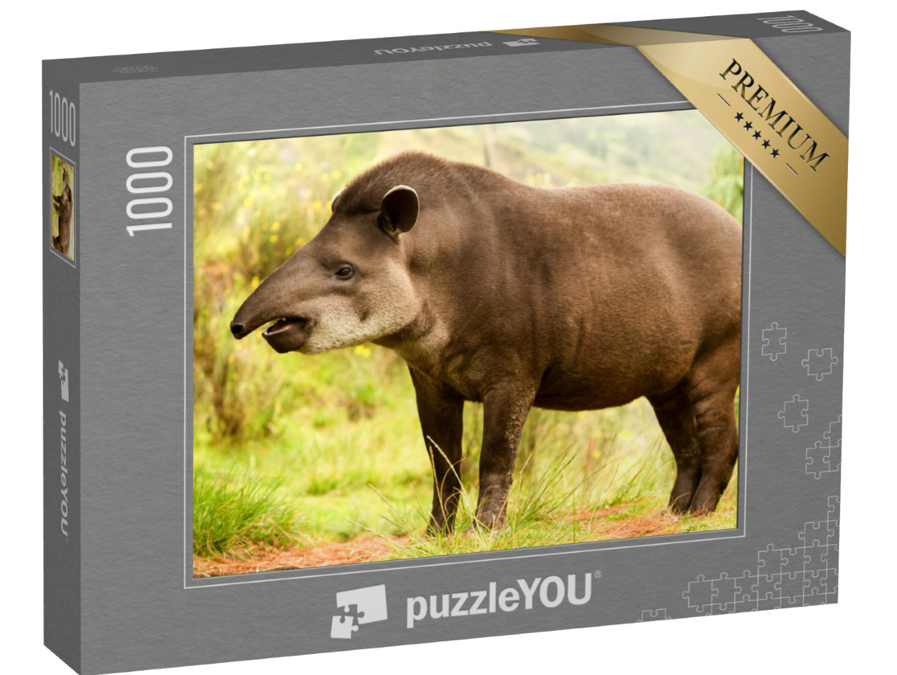 puzzle 1000 dílků „Tapír jihoamerický v pralese“