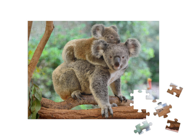 puzzle 100 dílků „Matka koala s mládětem na zádech na eukalyptovém stromě“