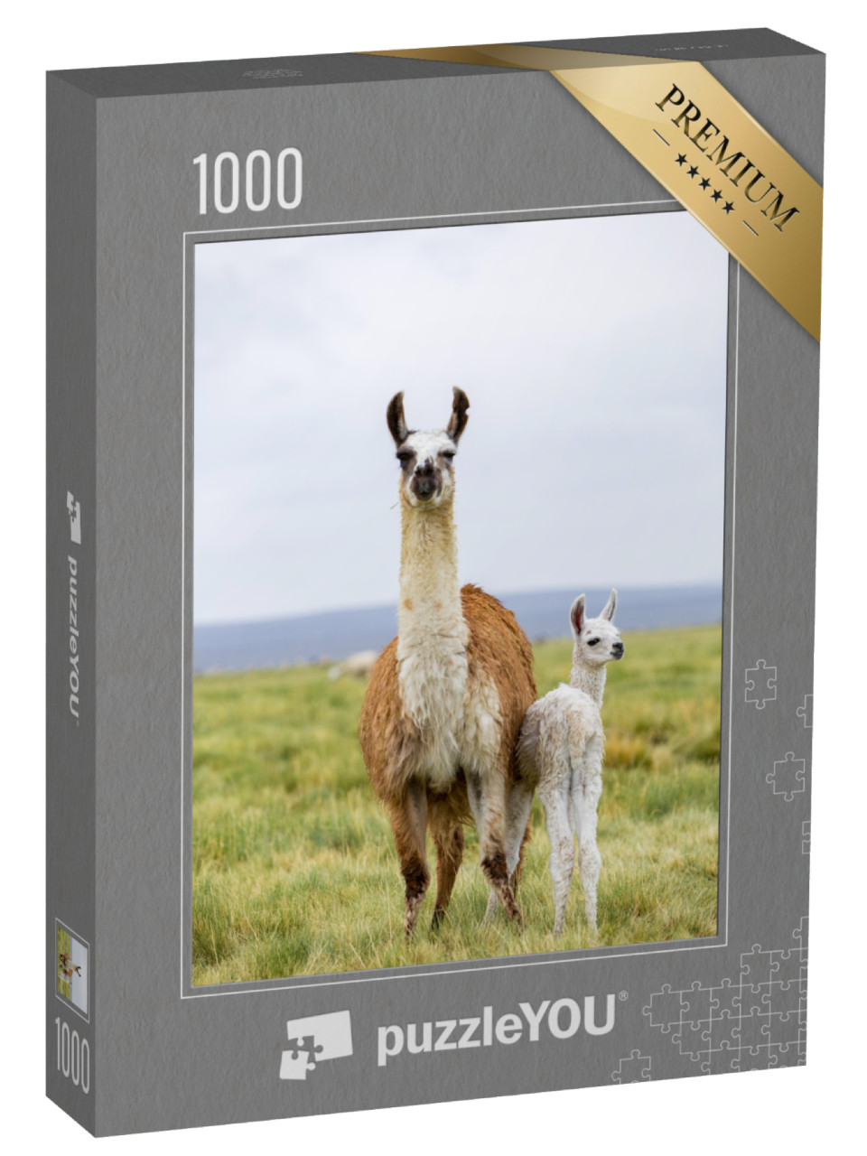 puzzle 1000 dílků „Lama s mládětem na Altiplanu v Bolívii“