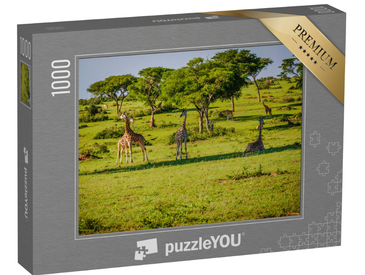 puzzle 1000 dílků „Příroda a divoká zvířata v parku Murchison Falls, Uganda, Afrika“