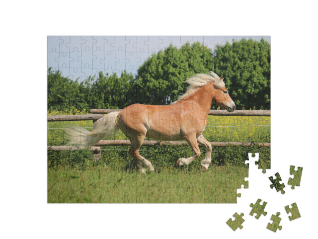 puzzle 200 dílků „Krásný haflingský kůň ve výběhu“