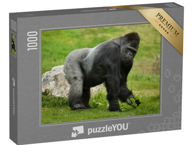 puzzle 1000 dílků „Západní gorila nížinná“