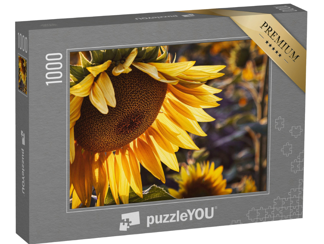 puzzle 1000 dílků „Žlutá slunečnice při západu slunce“