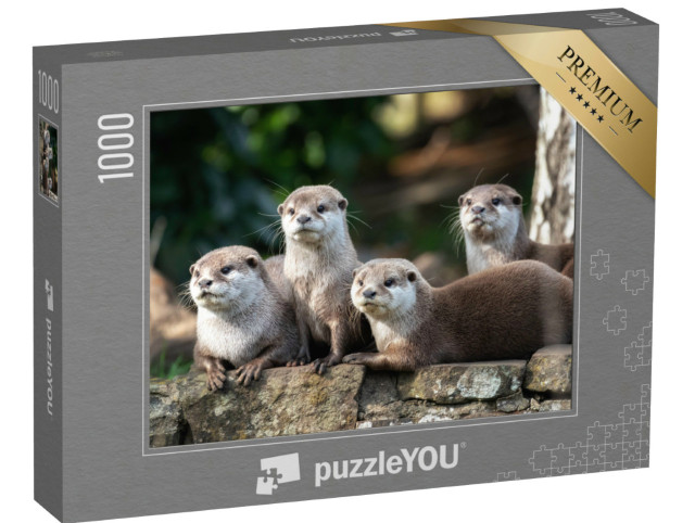 puzzle 1000 dílků „Skupina čtyř pozorných malých vyder orientálních“