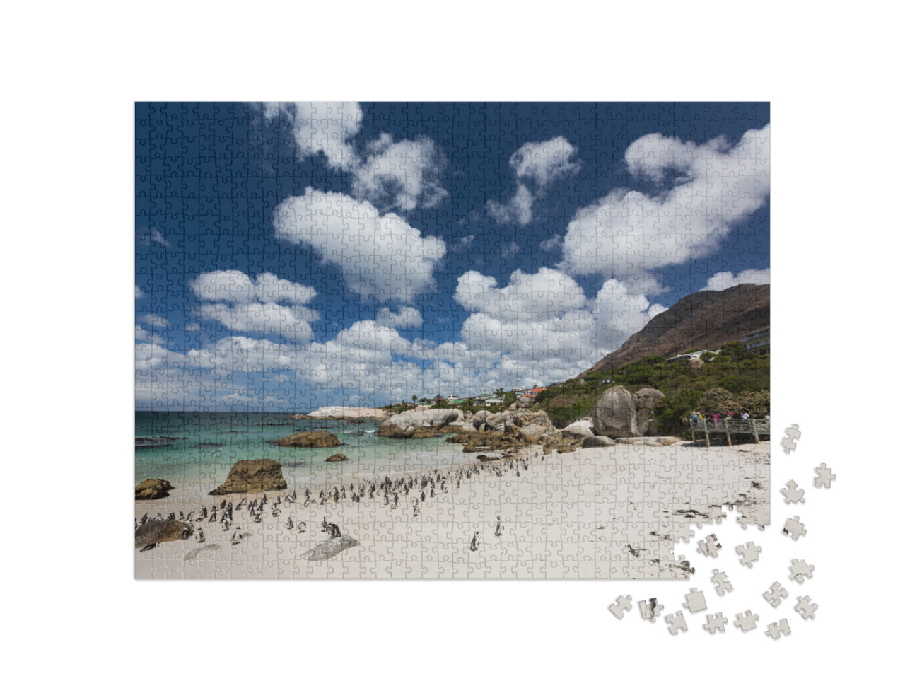 puzzle 1000 dílků „Tučňáci na pláži, Boulders Beach, Kapské Město, Jihoafrická republika“