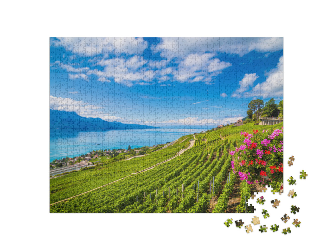 puzzle 1000 dílků „Viniční terasy Lavaux, světové dědictví UNESCO, Švýcarsko“