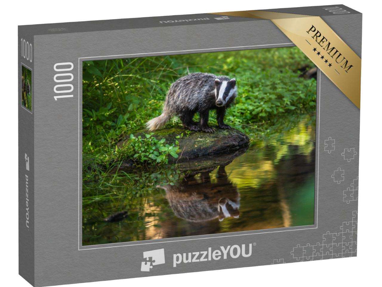 puzzle 1000 dílků „Jezevec lesní, Německo, Evropa“