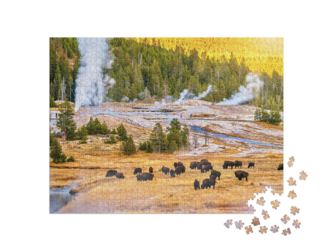 puzzle 1000 dílků „Stádo bizonů při západu slunce v Yellowstonském národním parku“