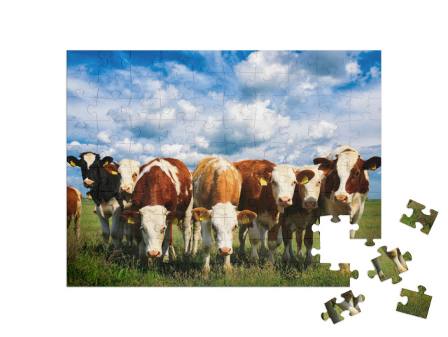 puzzle 100 dílků „Krávy na zelené letní louce“