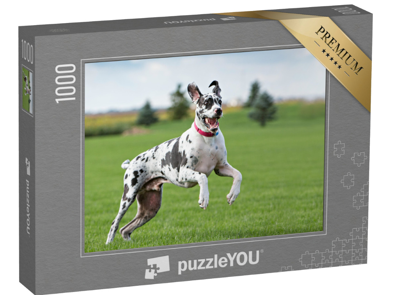 puzzle 1000 dílků „Německá doga skotačí na louce“