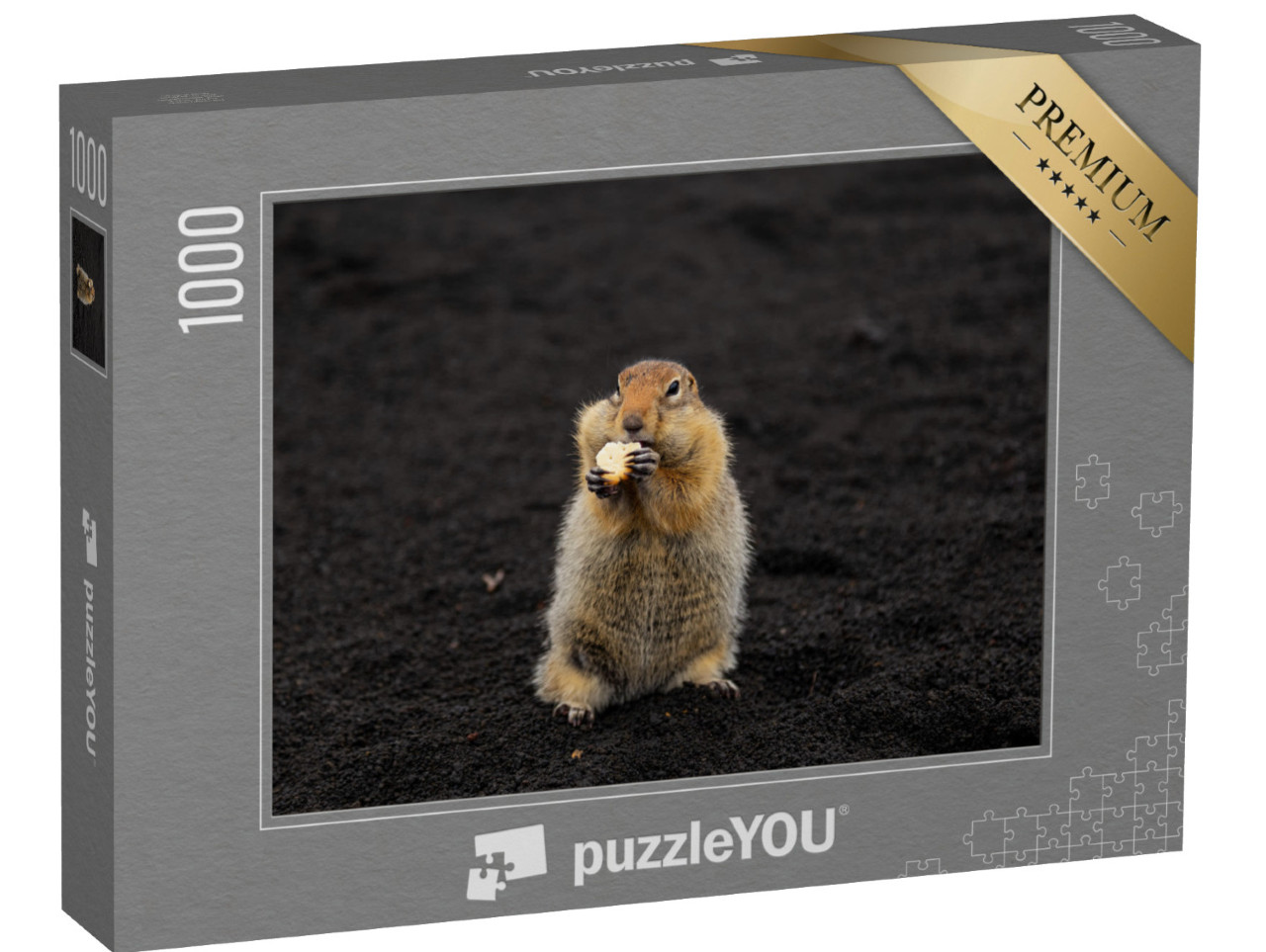 puzzle 1000 dílků „Svišť ve vulkanickém písku“