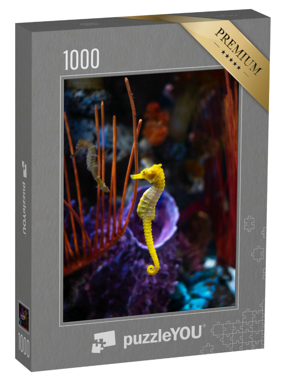 puzzle 1000 dílků „Mořští koníci v akváriu“