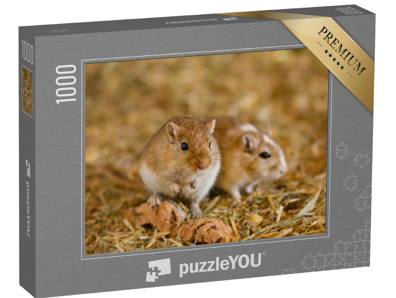 puzzle 1000 dílků „Dva mongolští pískomilové“