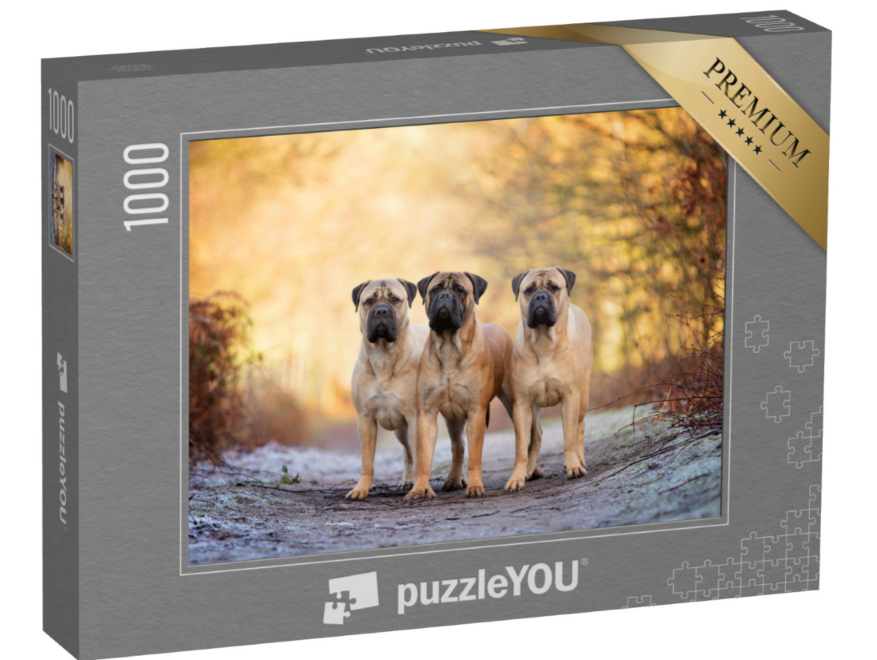 puzzle 1000 dílků „Tři bullmastifové za mrazivého rána“