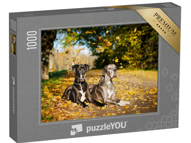 puzzle 1000 dílků „Dva psi německé dogy“